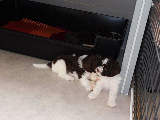 scheint spannend zu sein