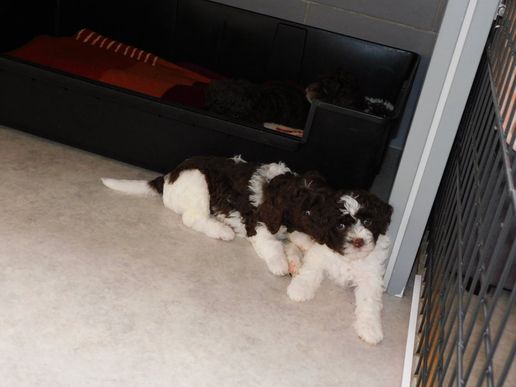 was werden sie wohl flüstern