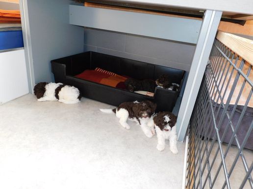 langsam zur Ruhe kommen