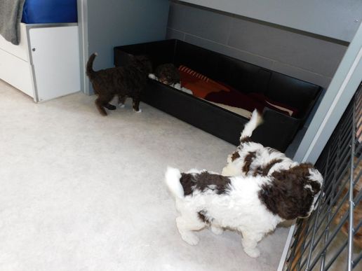 die Großen schauen um die Ecke