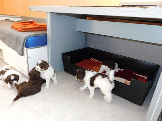 noch ein kleines Spiel