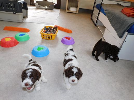 gemeinschaftliches Spazieren 