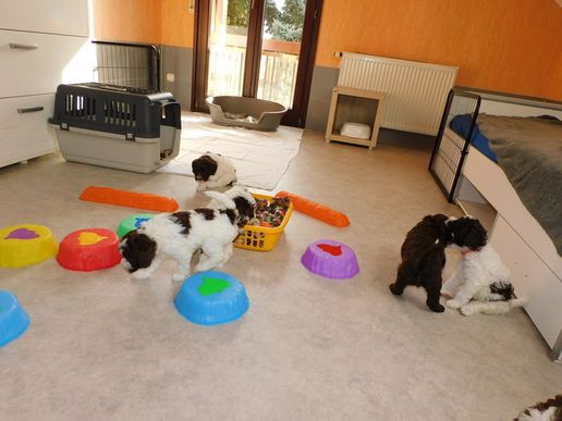 ein Spielpartner suchen