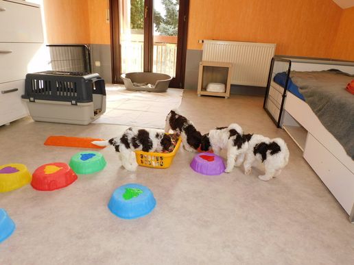 gemeinschaftliches Erkunden