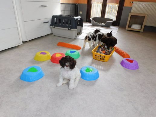 niedliches Gesicht kann ich schon