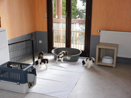 erst mal schauen was wir kennen