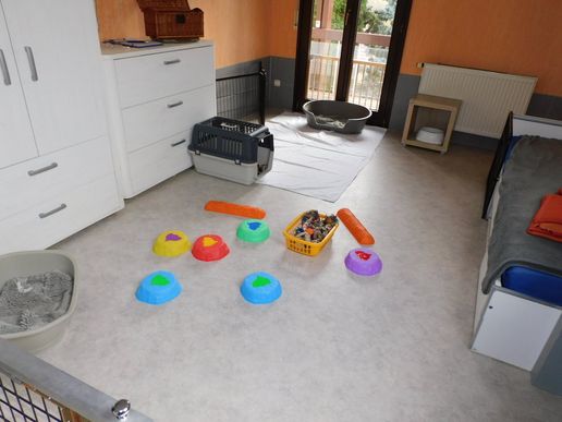 genau richtig für die Kleinen