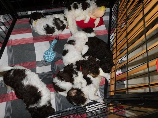 das Zimmer wird gesäubert