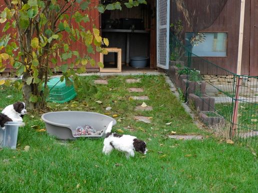 Herr Earl schon unterwegs