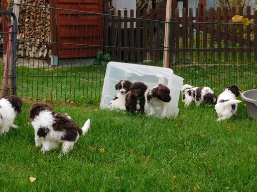 doch noch mal zurück