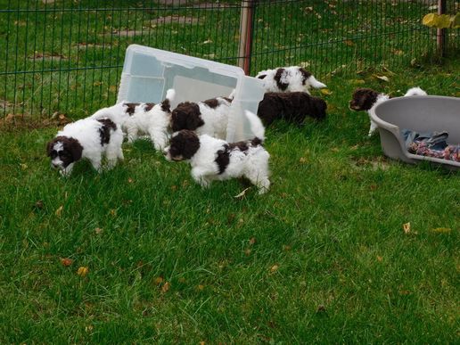 aber es ist ja so spannend