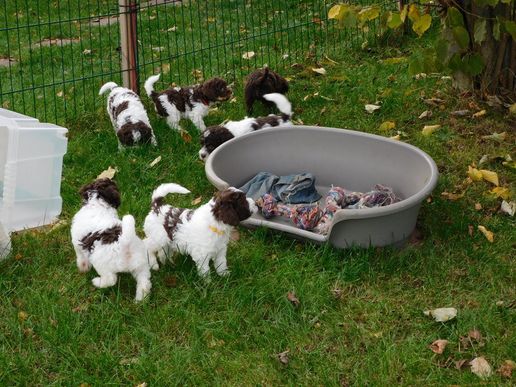 was es nicht alles gibt