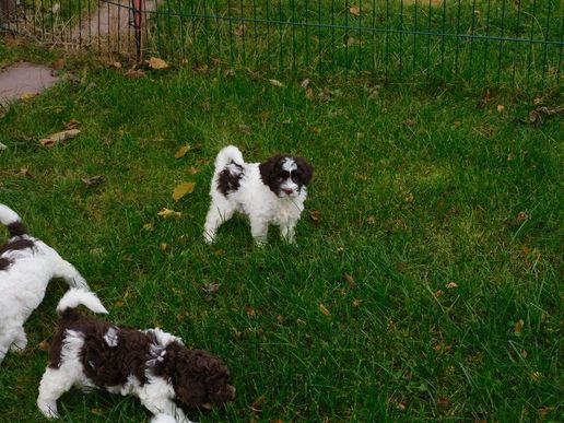 wo soll man anfangen