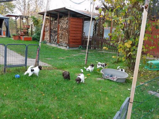 man kann richtig rennen