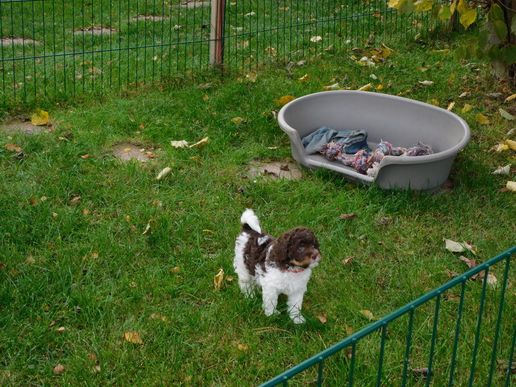 schöne frische Luft