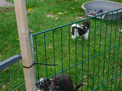 es ist schwer sich zu entscheiden