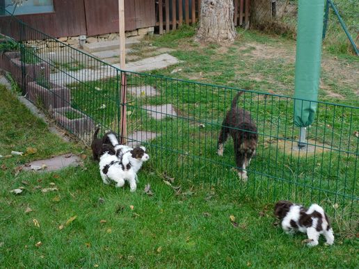 sie spielt von außen mit