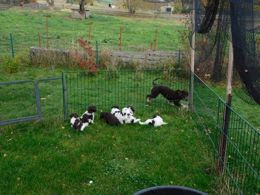 und alle flitzen hinterher