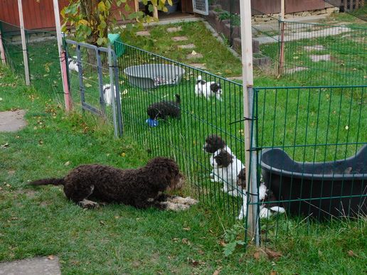 endlich jemand zum spielen