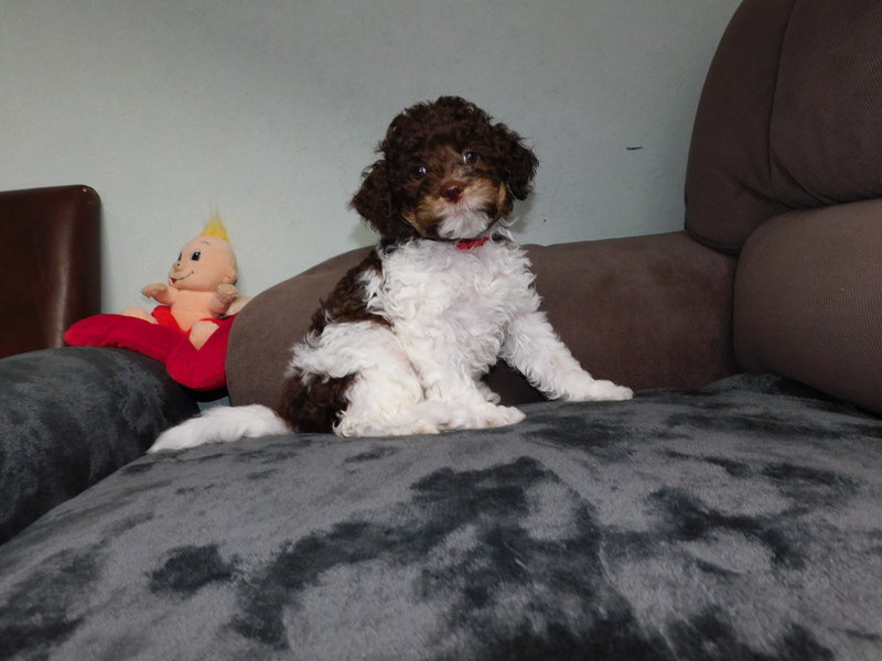 Elina Fanny reserviert