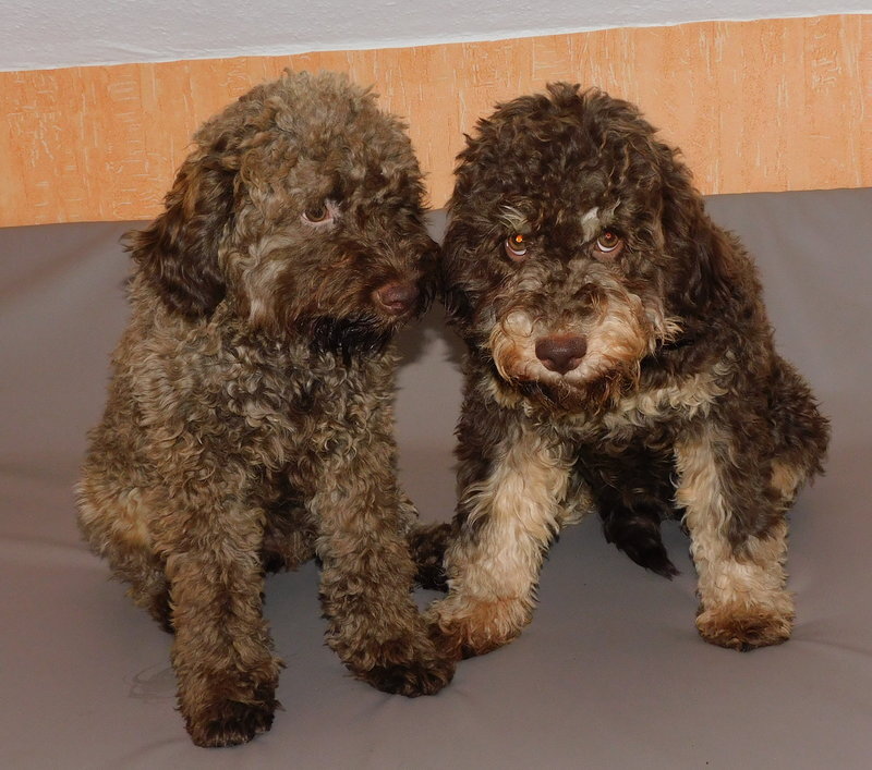 ich habe noch eine Idee